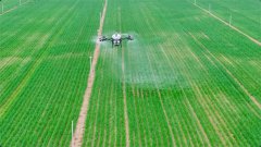 曾经被自智能滴灌系统替代